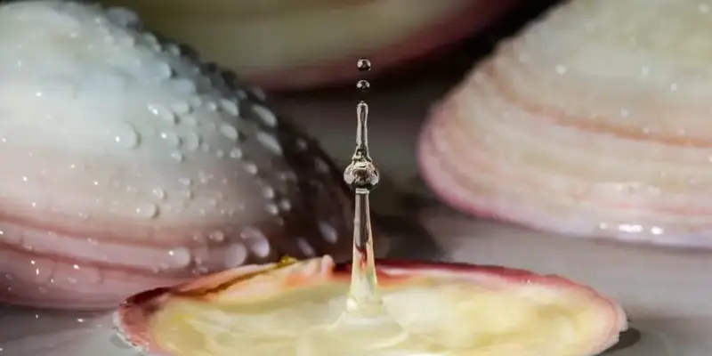 About Lava Shell Back Massage