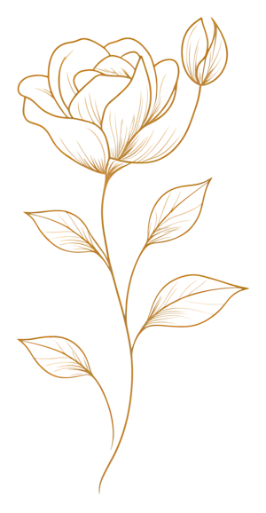 gold rose - jane rose beauty